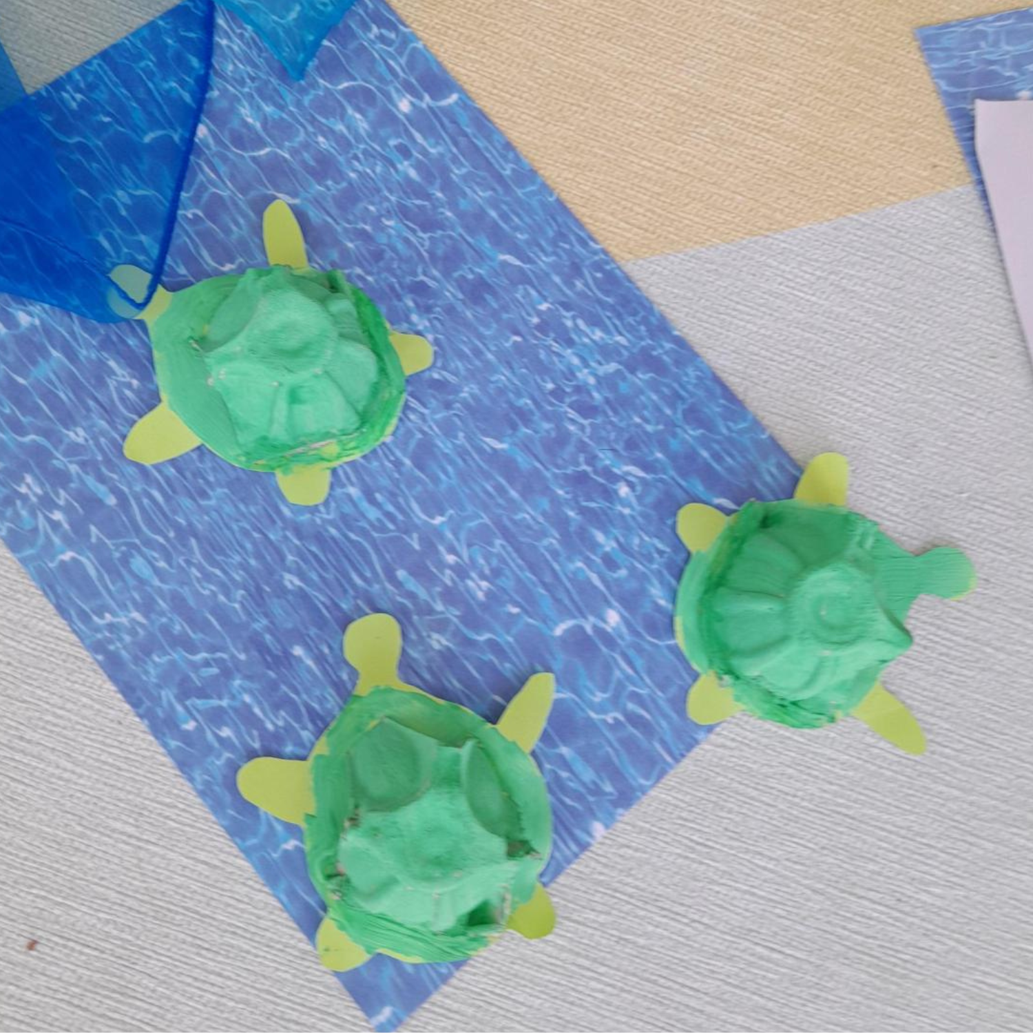 Schildkröten